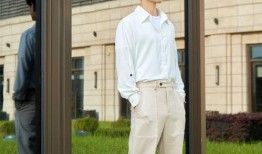 成毅爆料最新动态视频播放,揭秘幕后故事与精彩瞬间