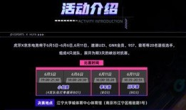 战哥老粉爆料视频大全最新,揭秘幕后故事与精彩瞬间